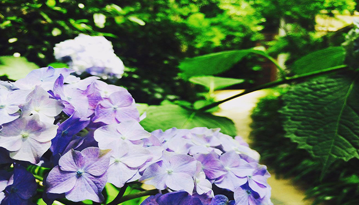 卒♡花嫁達からのVOICEは必見!